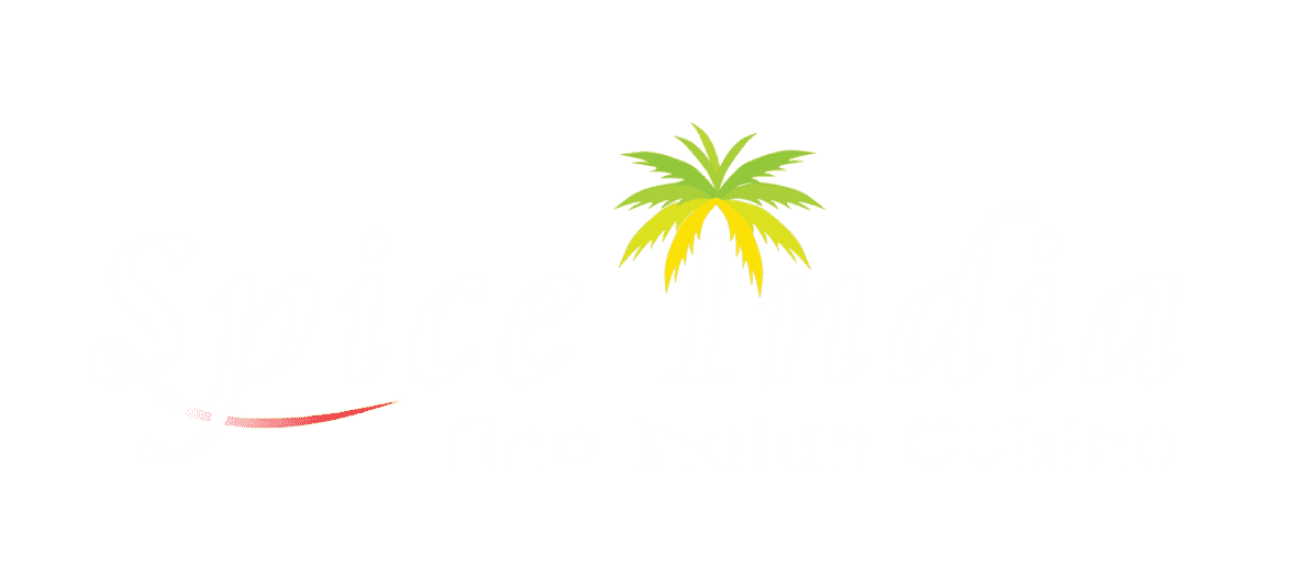 SPICE INDIA logo